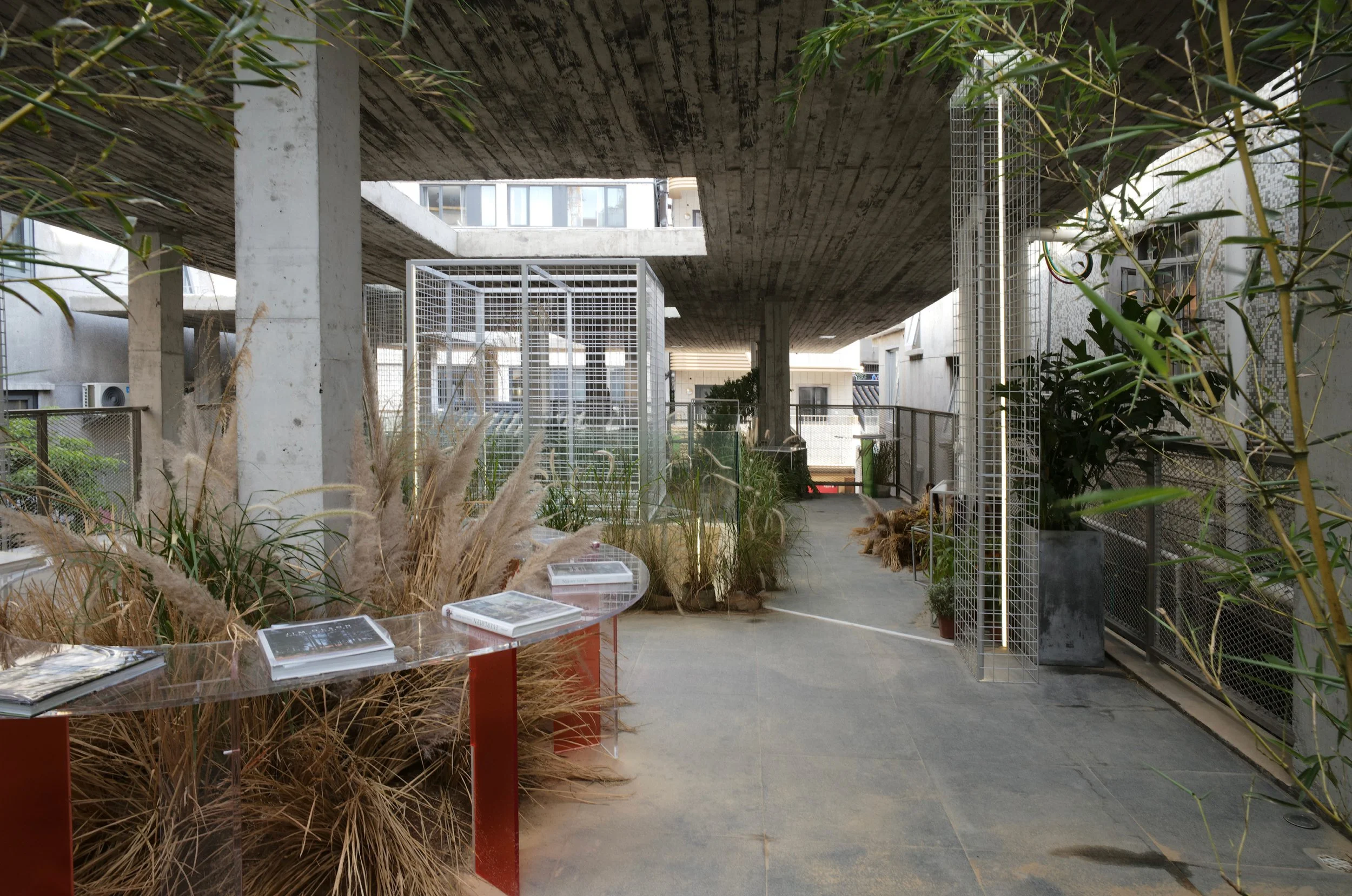 村中村 A Hamlet within the urban village10.jpg