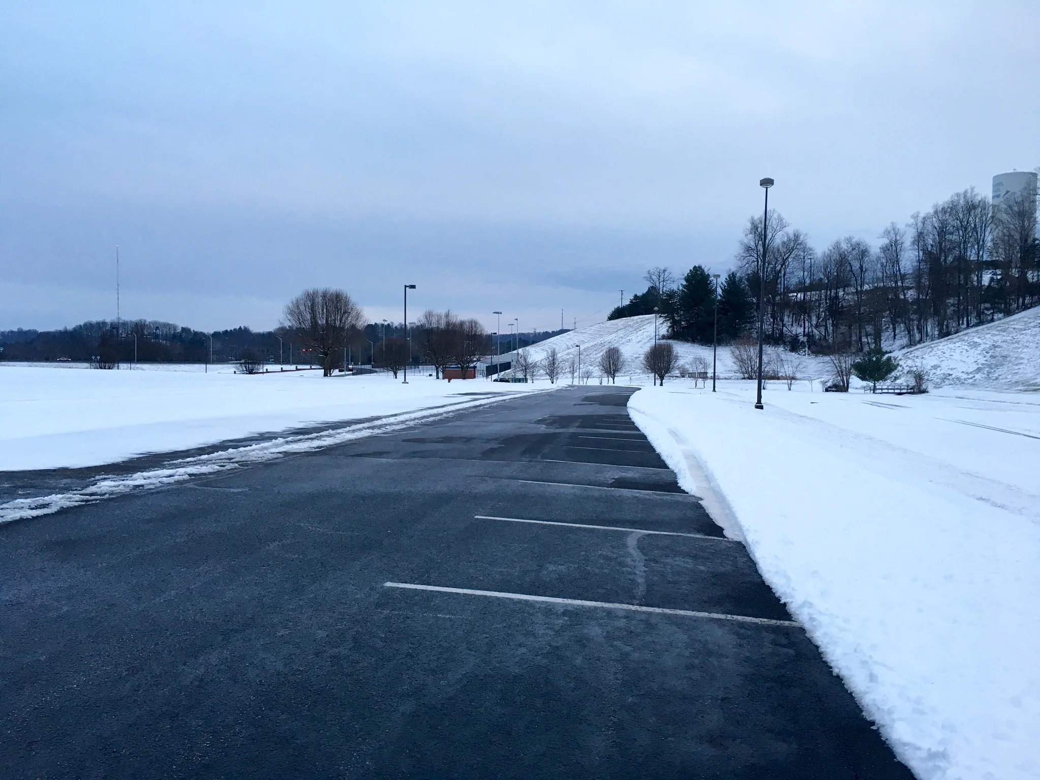 Half Marathon Training Update