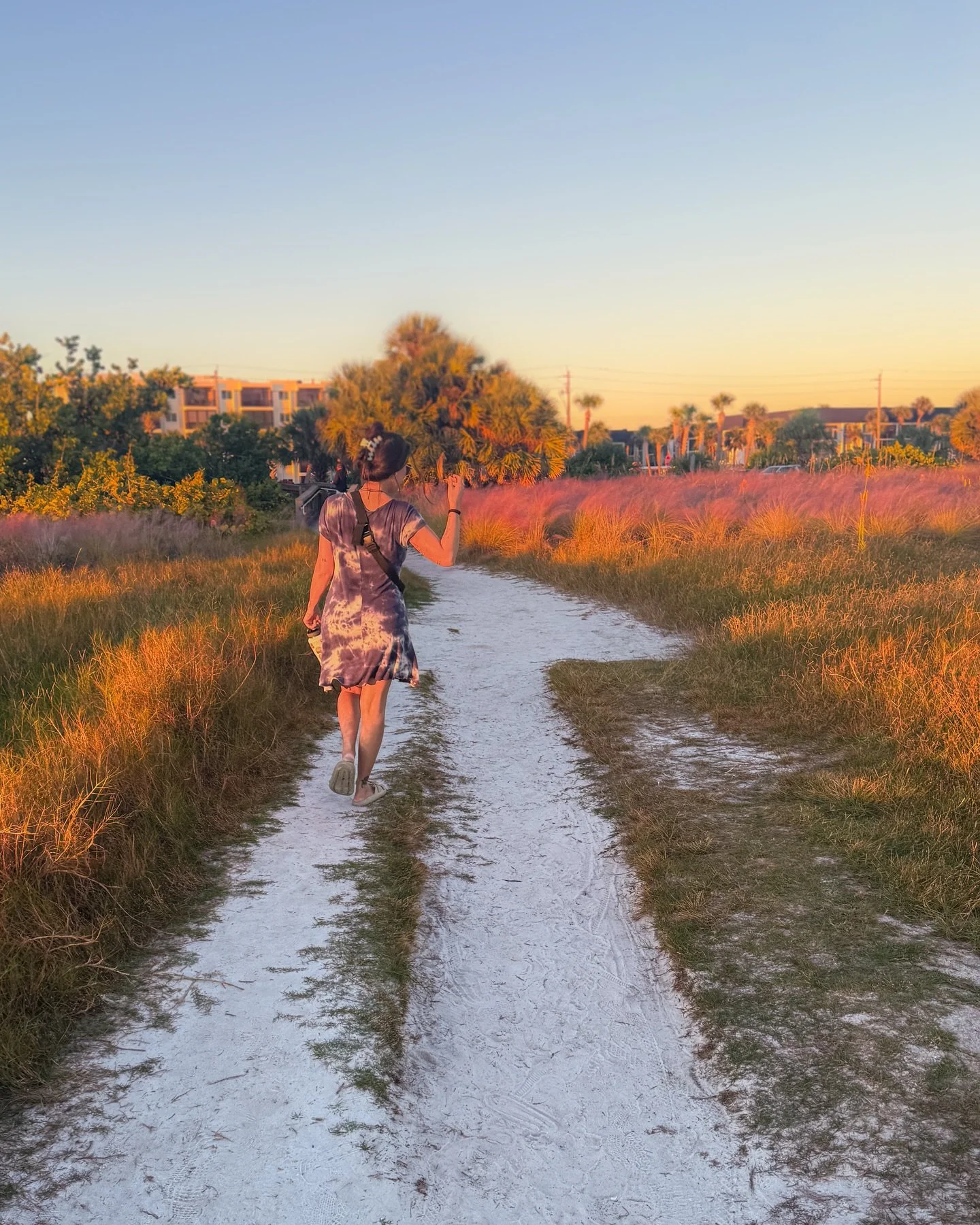 Golden hour with a lil bit of purple 💜🌞✨