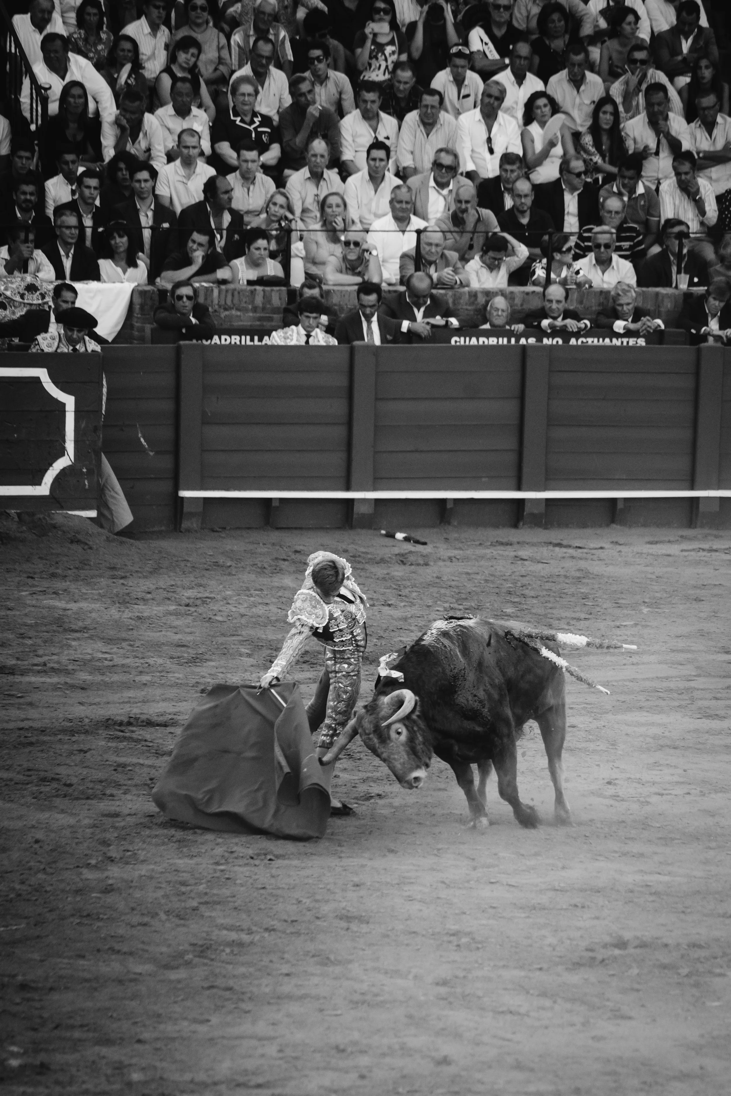bullfight-1.jpg