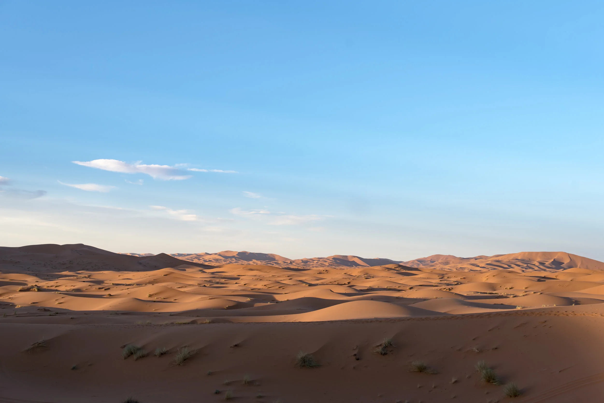 havens_saharadesert-1.jpg