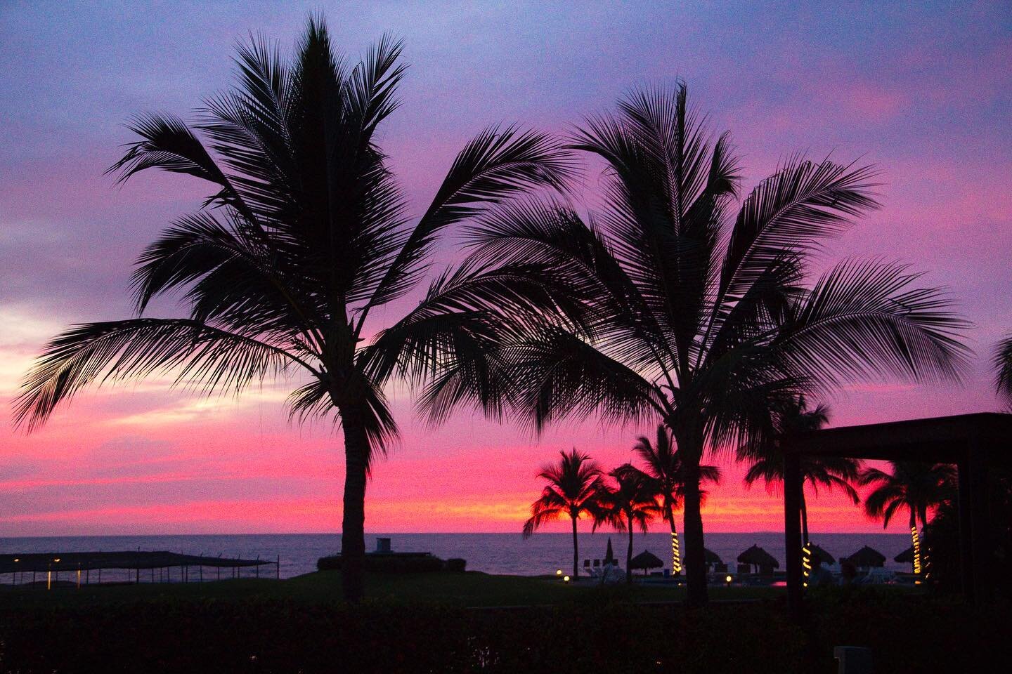 Pastel palms 🌴 Follow for more stunning travel destinations 🛫
▫️
▫️
▫️
▫️
#travel #travelphoto #natgeo #sky #usaprimeshot #shotzdelight #ig_northamerica #citygrammers #killyourcity #heatercentral #plane #tulum #cancun #mexico #resort #mayanriviera 