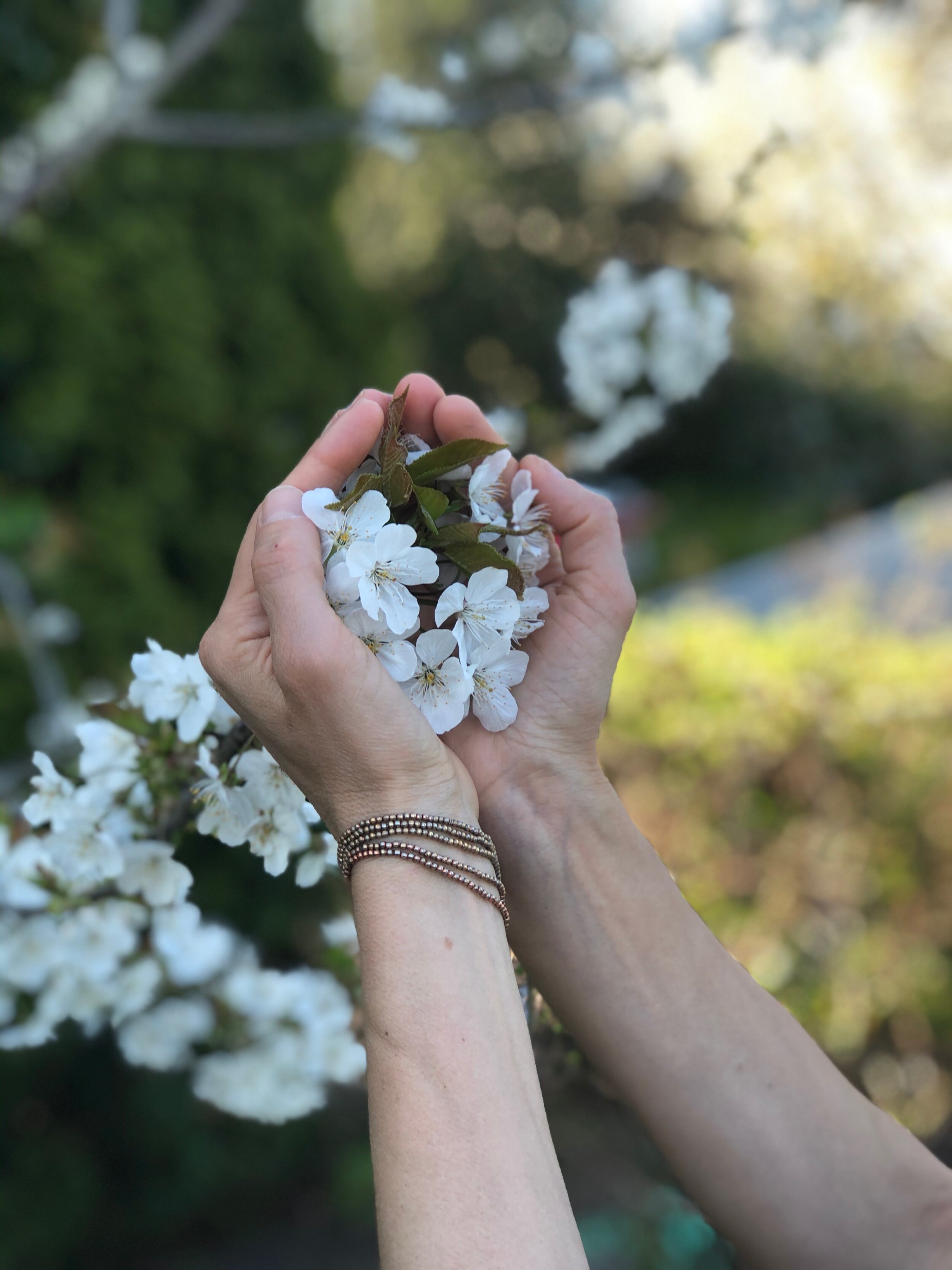 Candlelight Yoga with Kyra Anastasia (Online), 4:30pm PT/7:30pm ET (60 minutes)