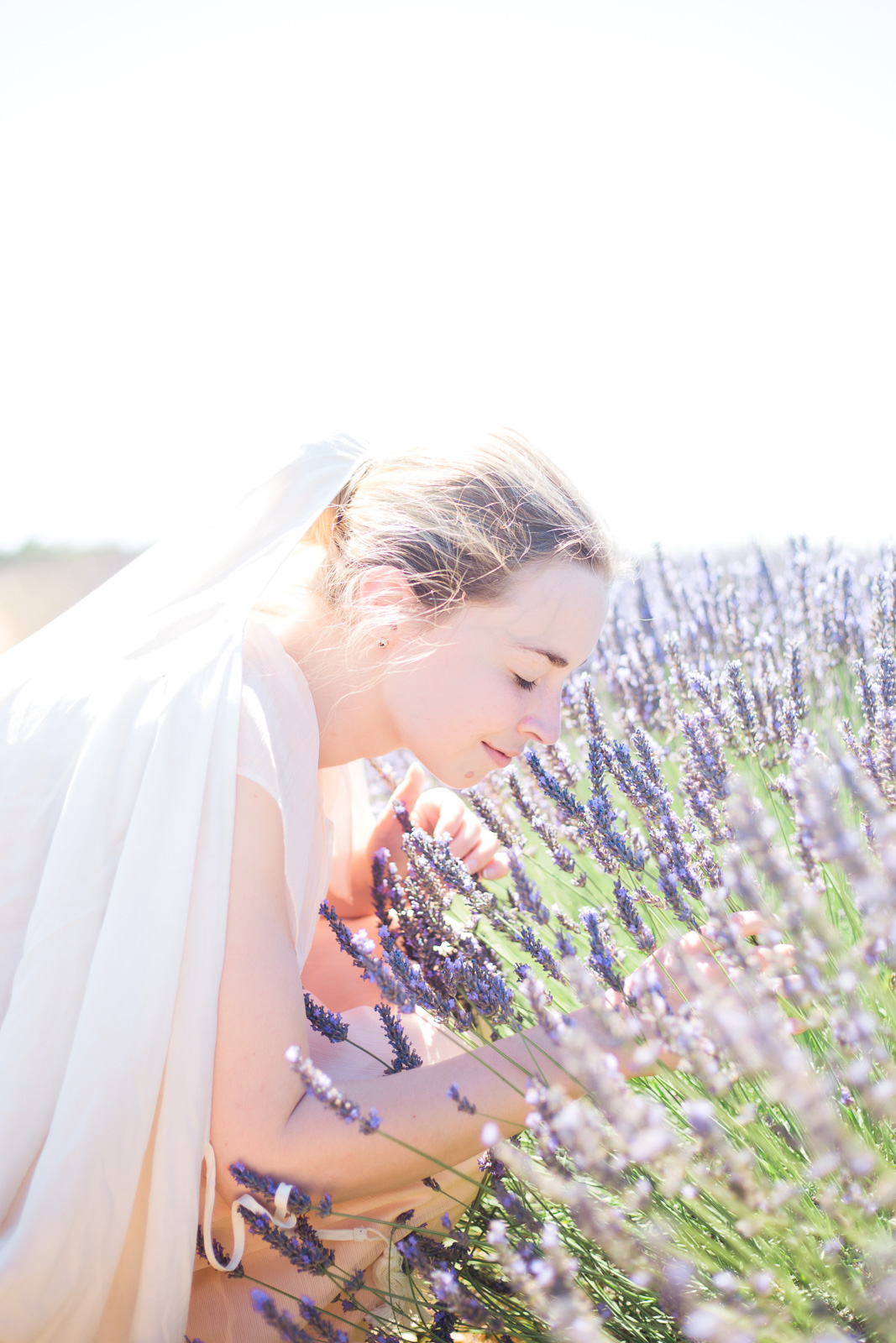 Wedding Photographer, Lavender Fields, Southern France, Matt Erickson Photography, Destination Wedding Photographer, France, Provence