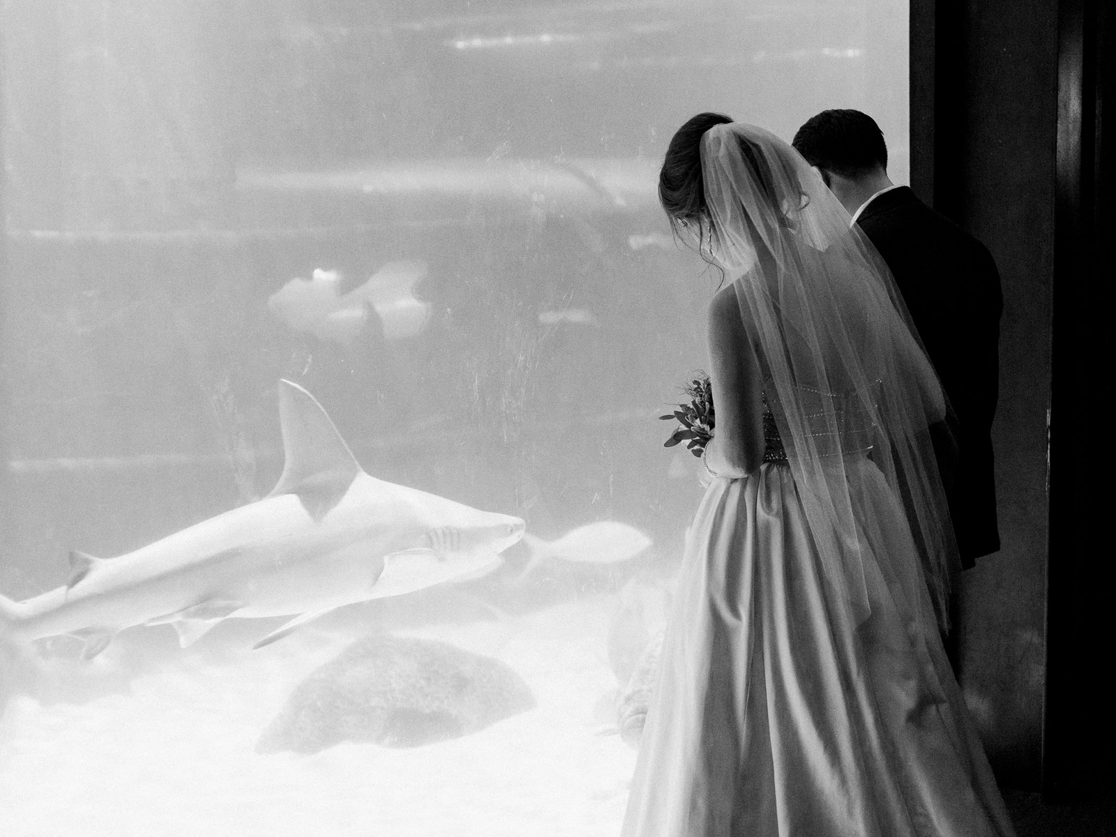 Windows on the River, Cleveland Aquarium, Cleveland Ohio, Cleveland Photographer, Cleveland Wedding, Matt Erickson Photography