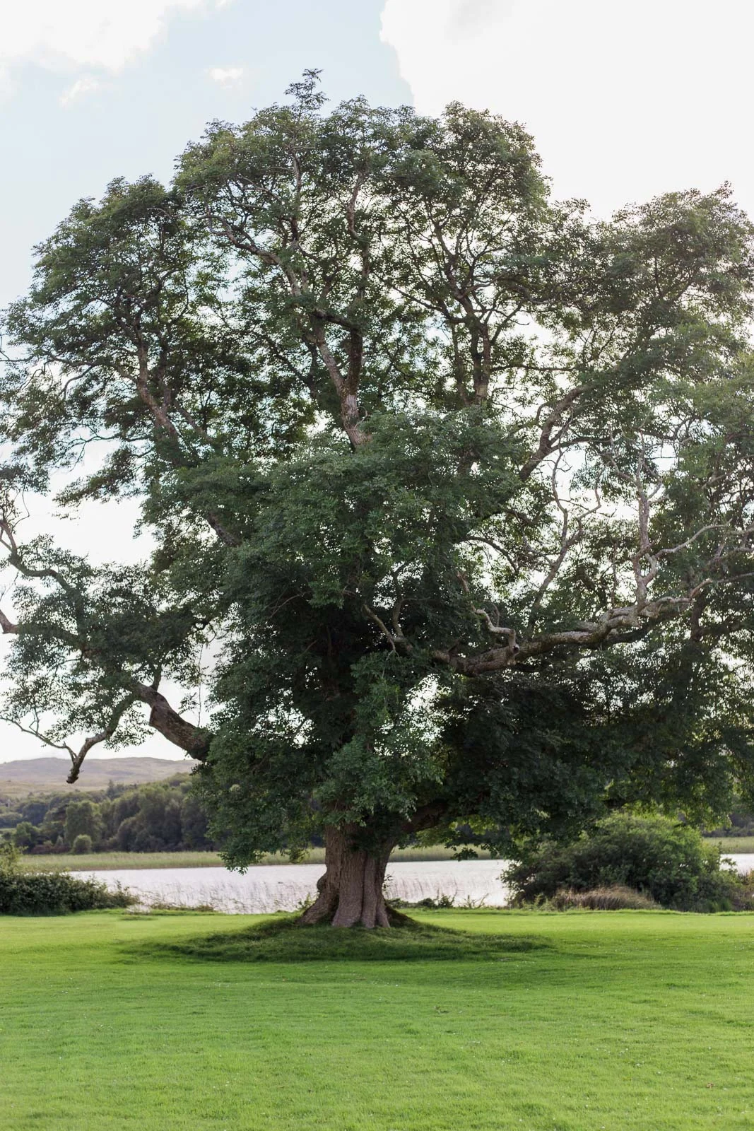 The Emerald Isle by Cleveland Wedding Photographer Matt Erickson Photography