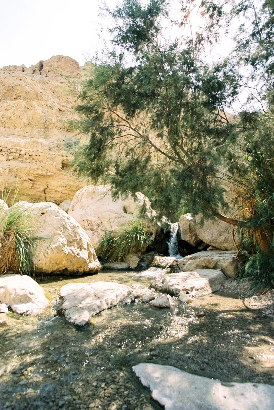 Israel by Destination Wedding Photographer Matt Erickson Photography