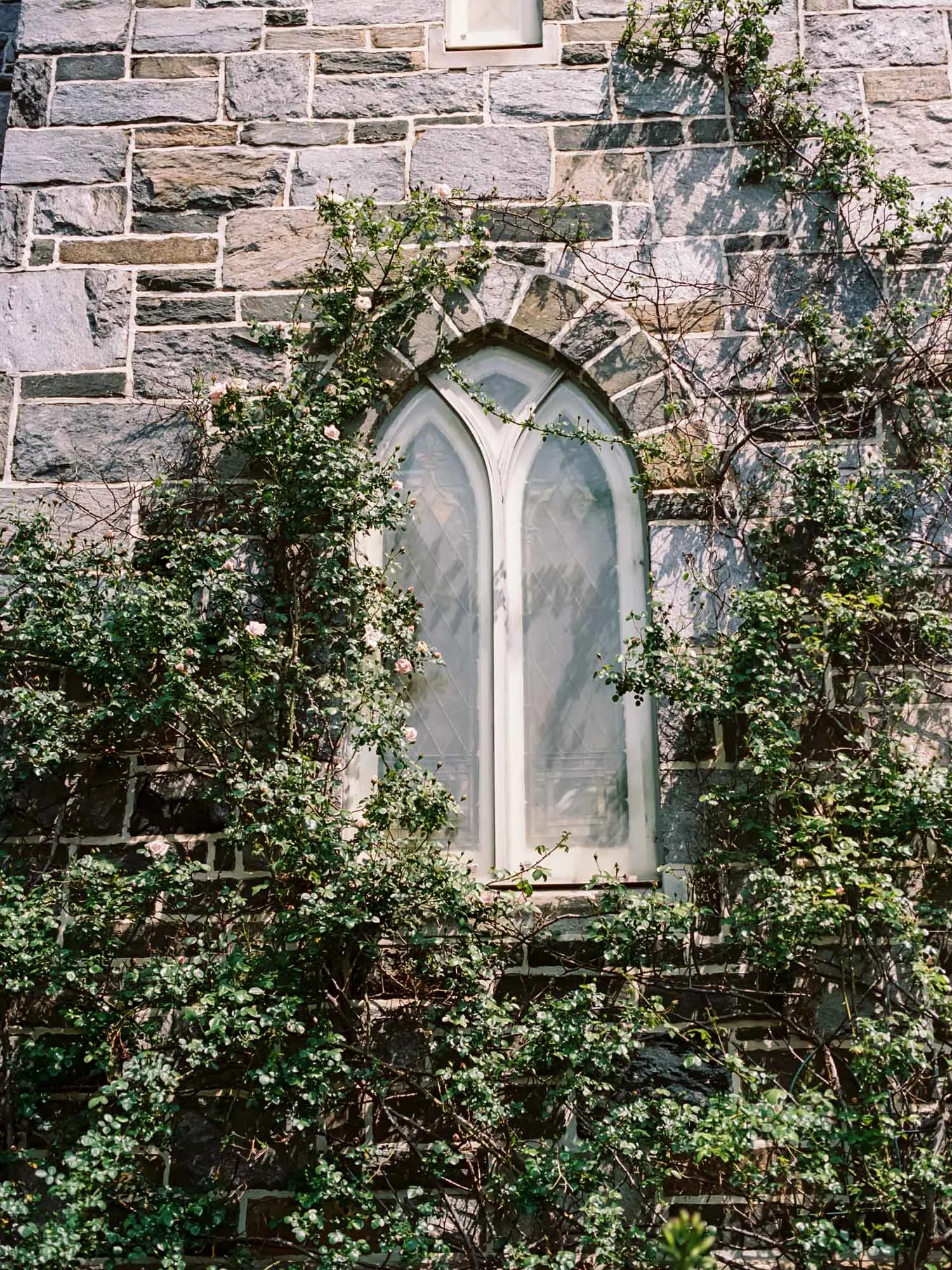 Personal-2017_04_28-15.jpg