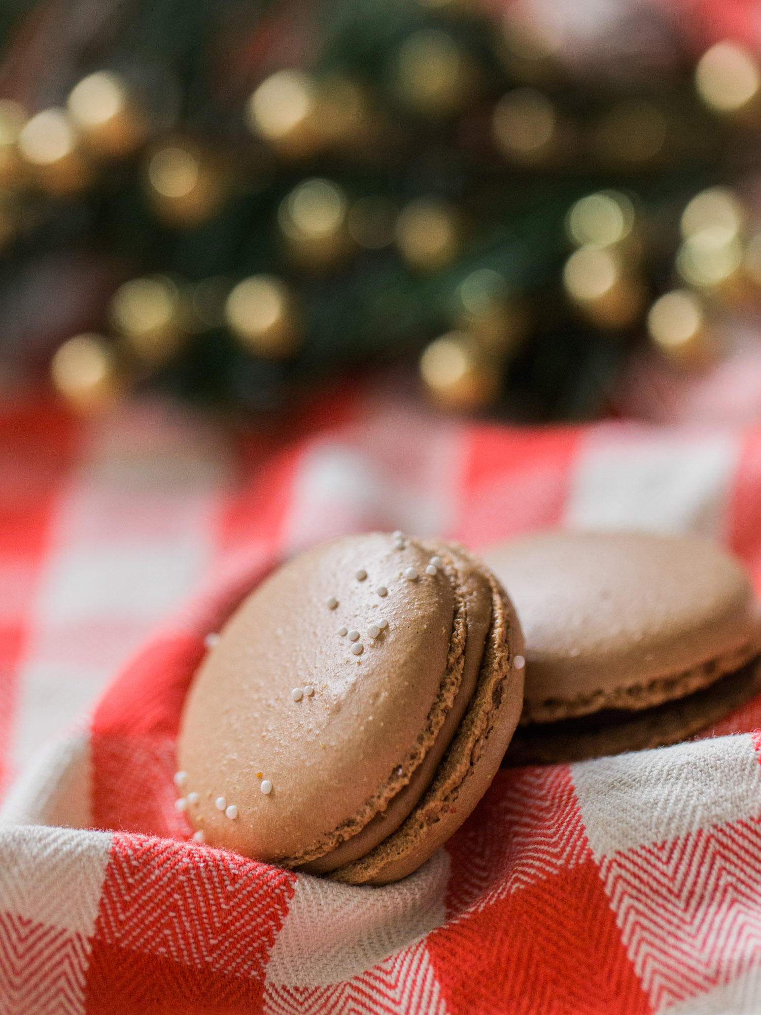 Christmas Macaron Kelsey Elizabeth Cakes by Cleveland Wedding Photographer Matt Erickson Photography