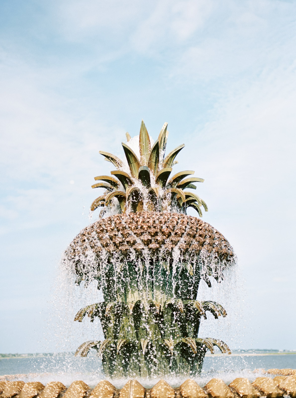 Charleston on film by Cleveland Wedding Photographer Matt Erickson Photography