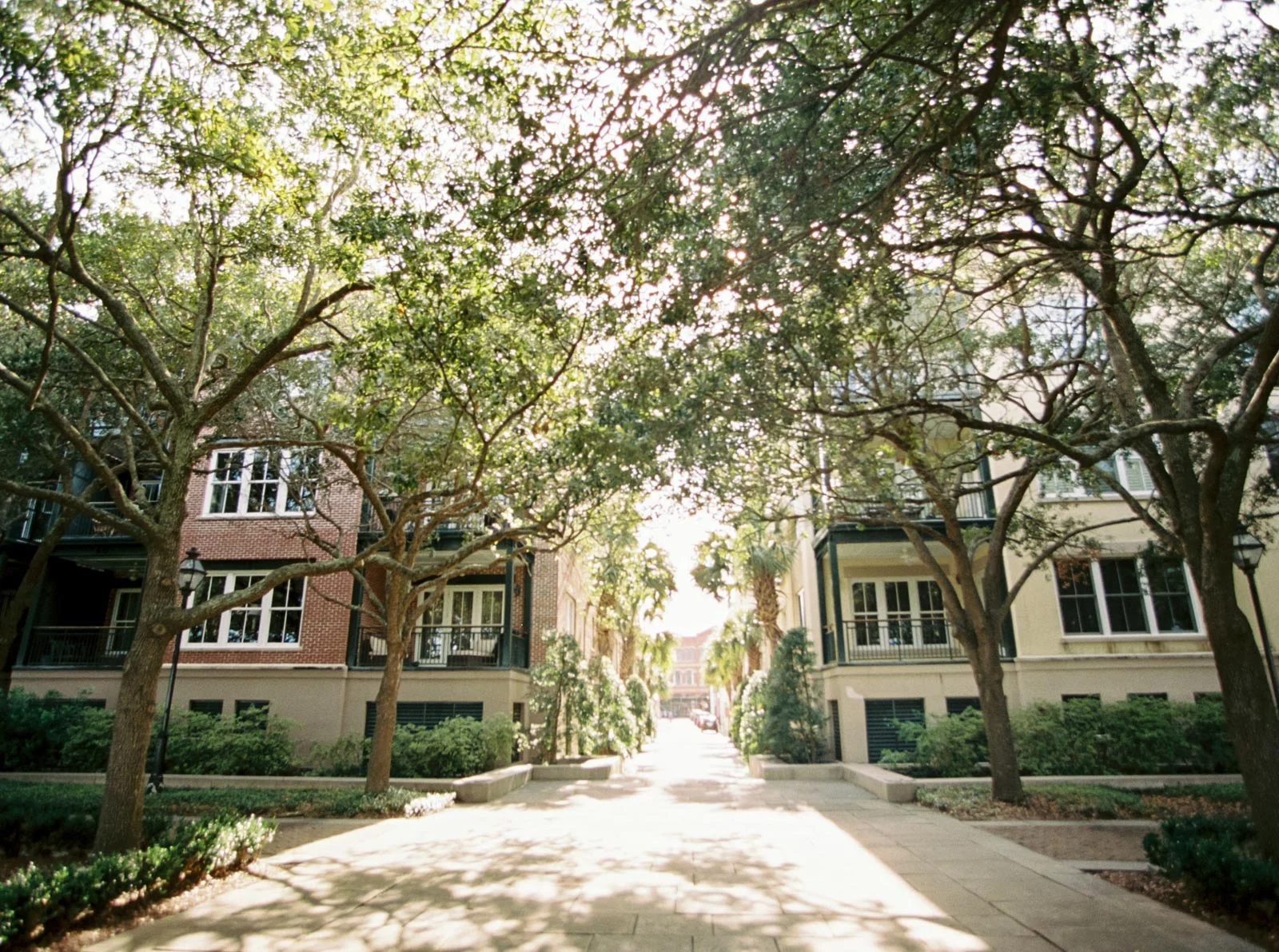 Charleston on film by Cleveland Wedding Photographer Matt Erickson Photography