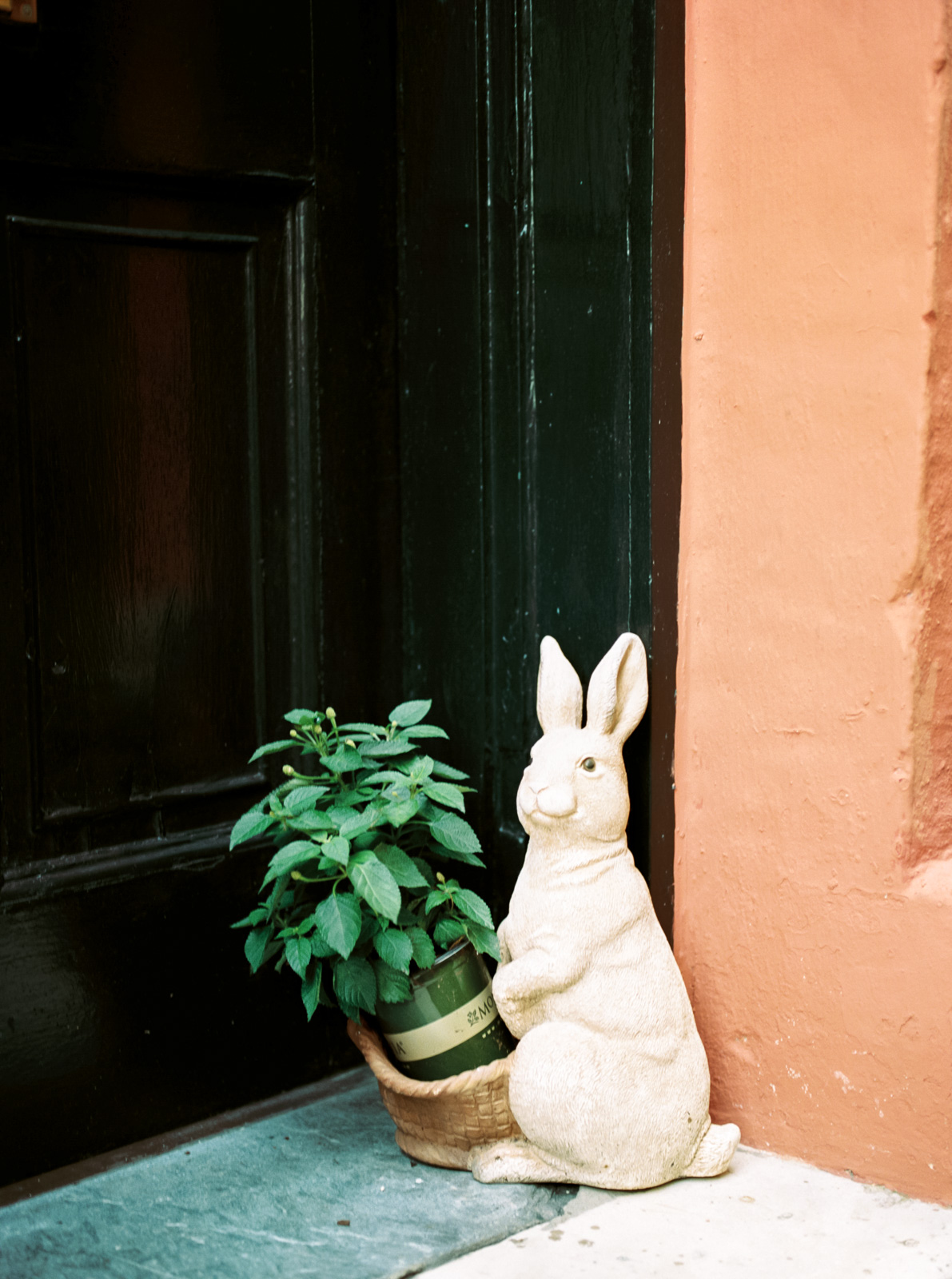 Charleston on film by Cleveland Wedding Photographer Matt Erickson Photography
