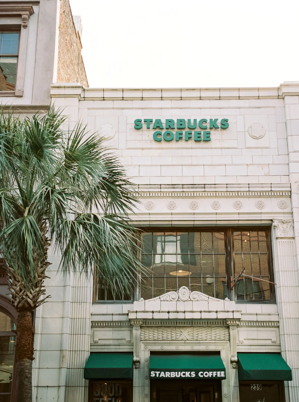 Charleston on film by Cleveland Wedding Photographer Matt Erickson Photography