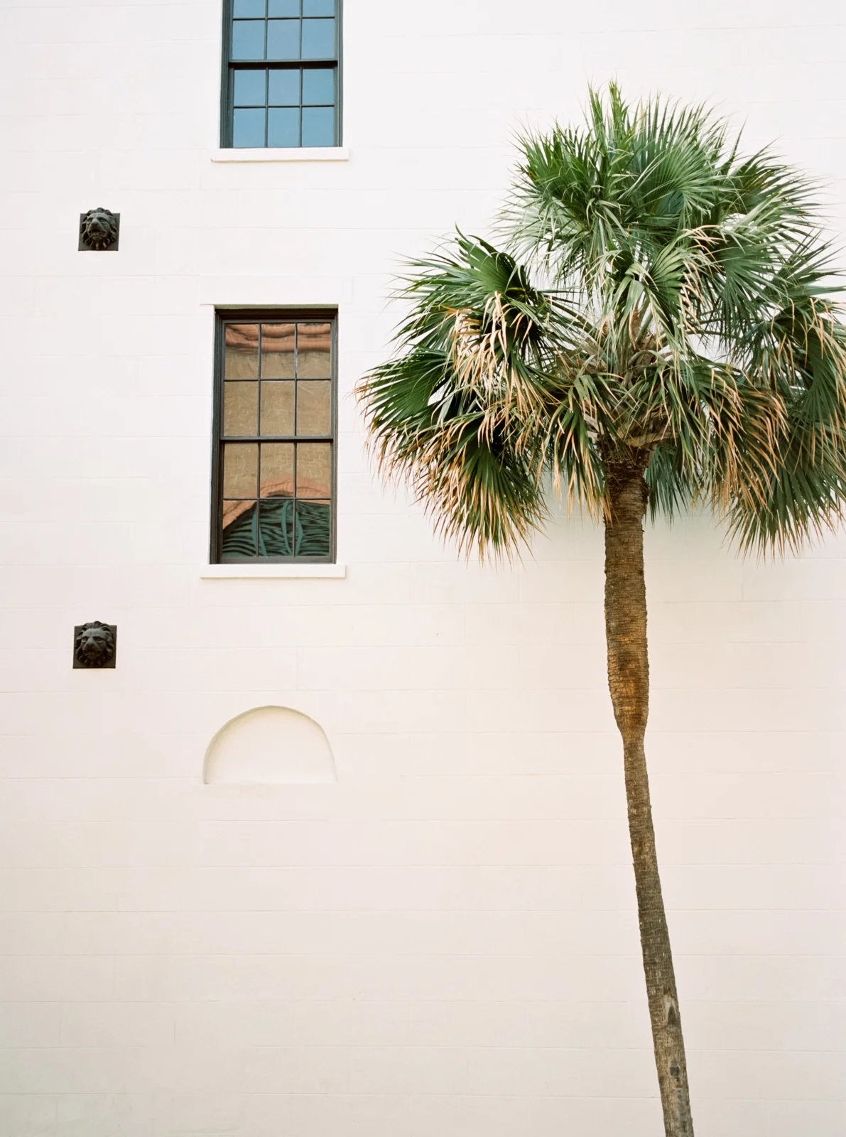 Charleston on film by Cleveland Wedding Photographer Matt Erickson Photography