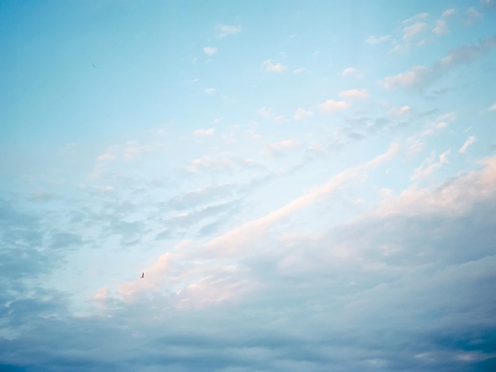 personal work on film by Cleveland Wedding Photographer Matt Erickson Photography