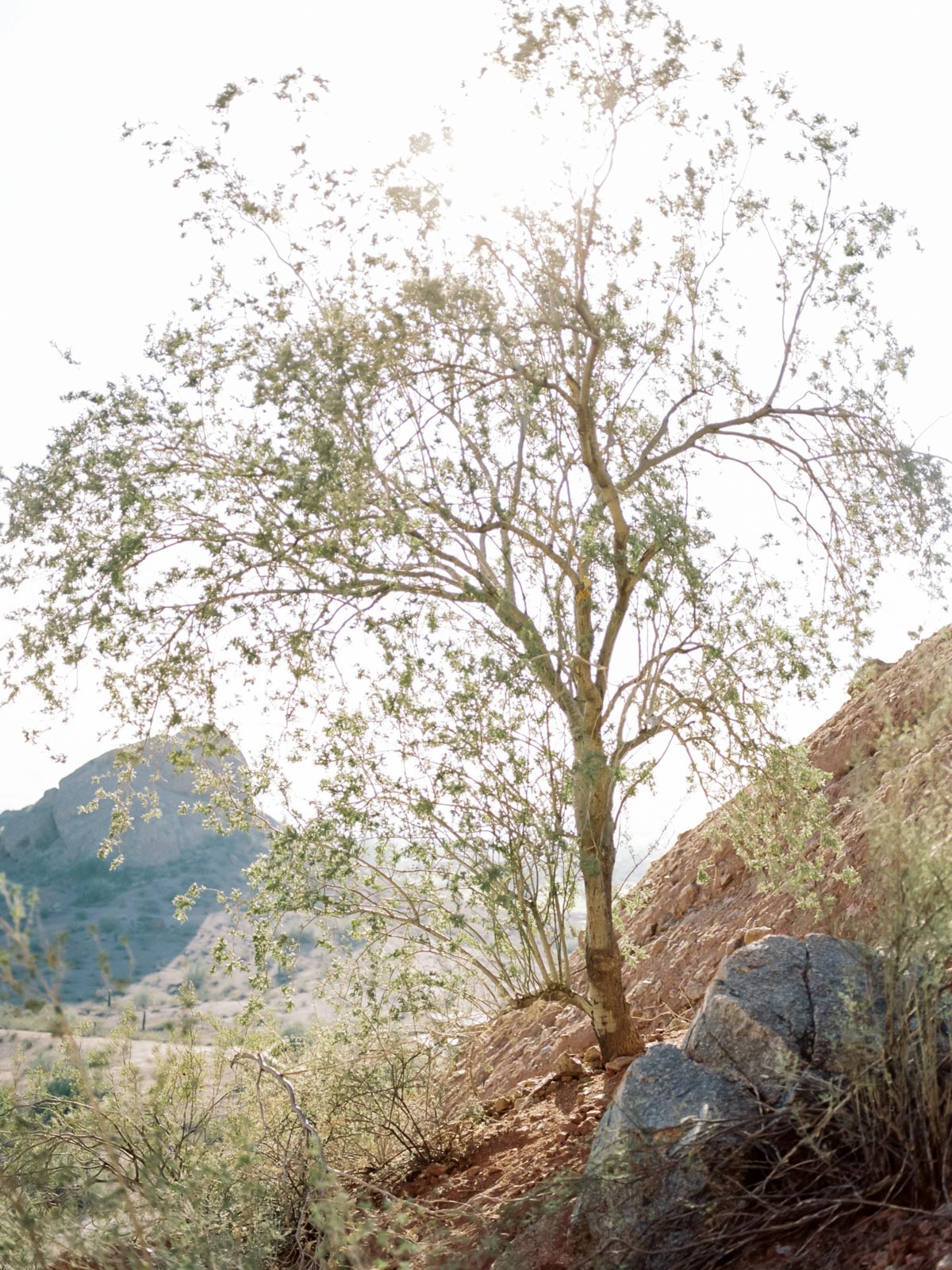 Phoenix Engagement Photos by Cleveland Wedding Photographer Matt Erickson Photography