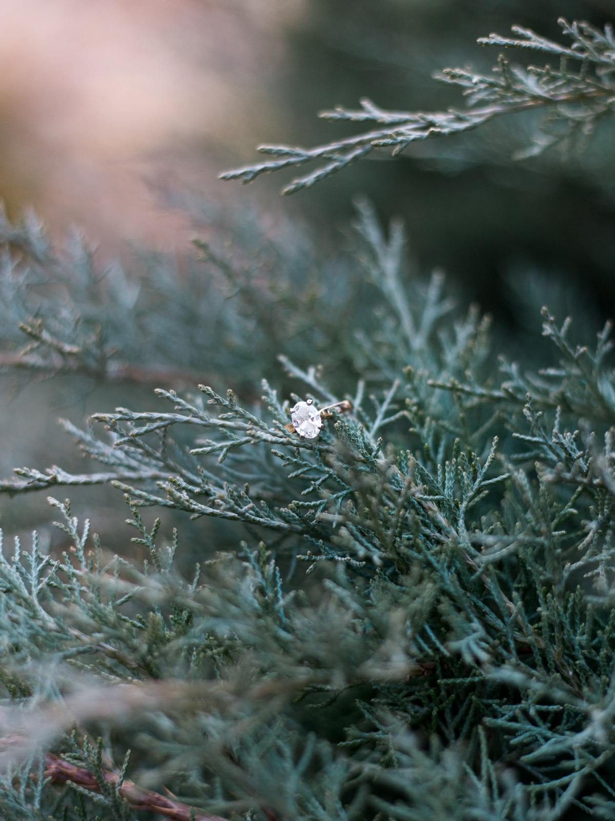 Engagement Details by Cleveland Wedding Photographer Matt Erickson Photography