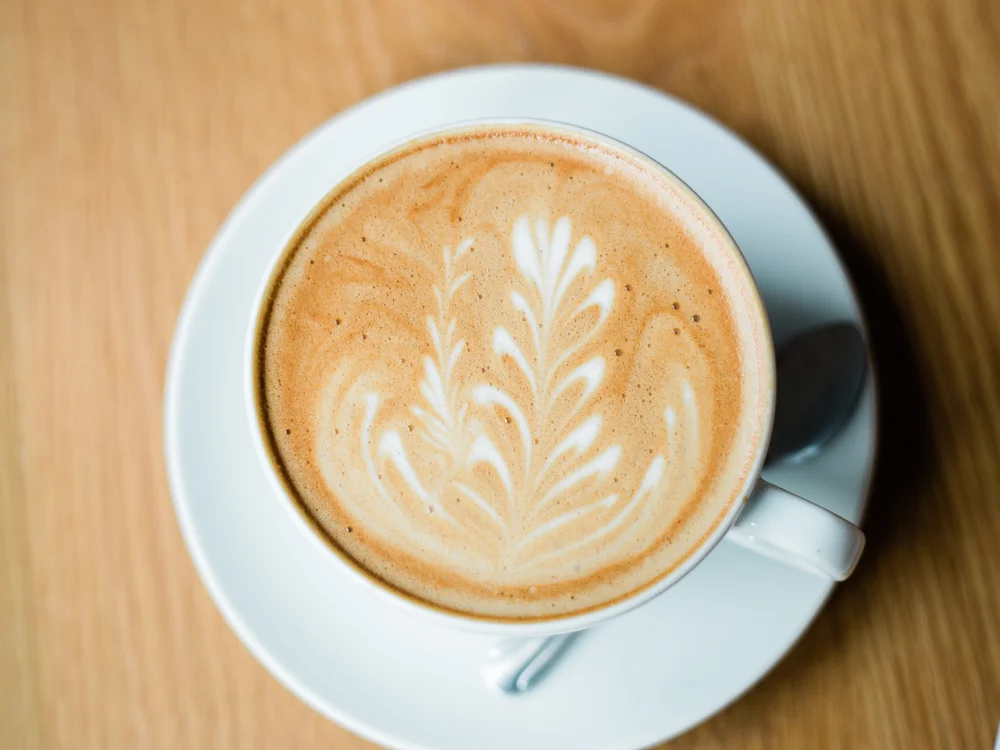 Fox in the Snow Cafe 2 // Cleveland Wedding Photographer Matt Erickson Photography