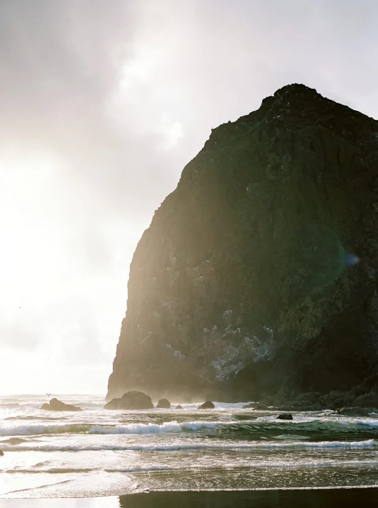 matt-erickson-photography-cannon-beach-enagement-photos-26.jpg