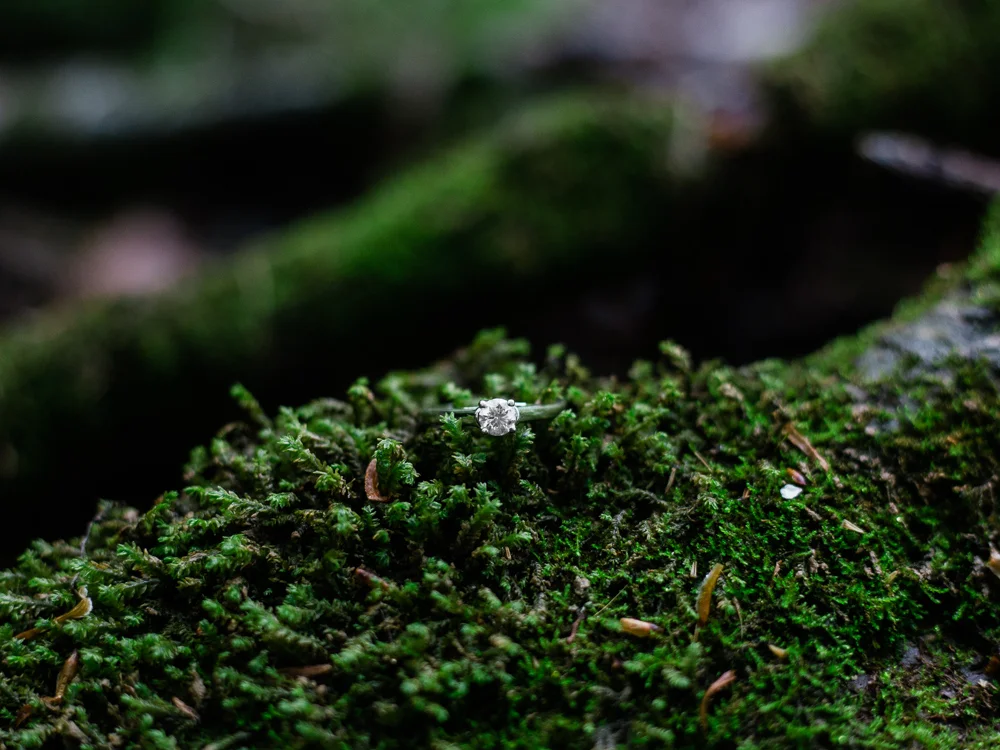 matt-erickson-photography-mohican-state-park-engagement-photos-2.jpg