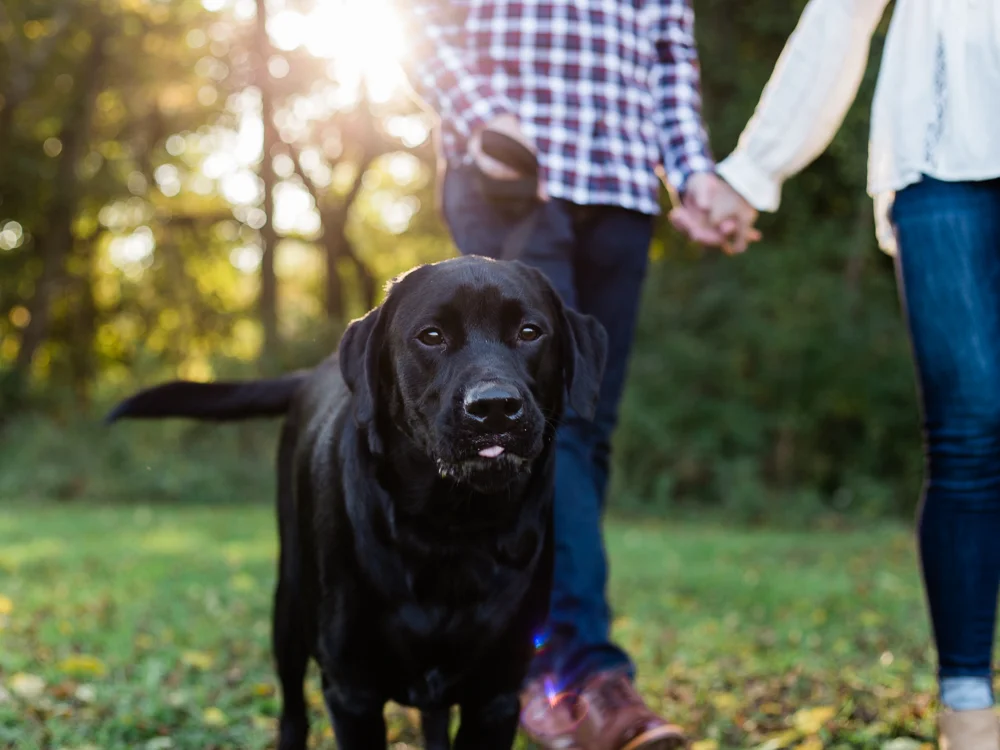 cleveland-fall-engagement-photos-by-matt-erickson-photography-5.jpg