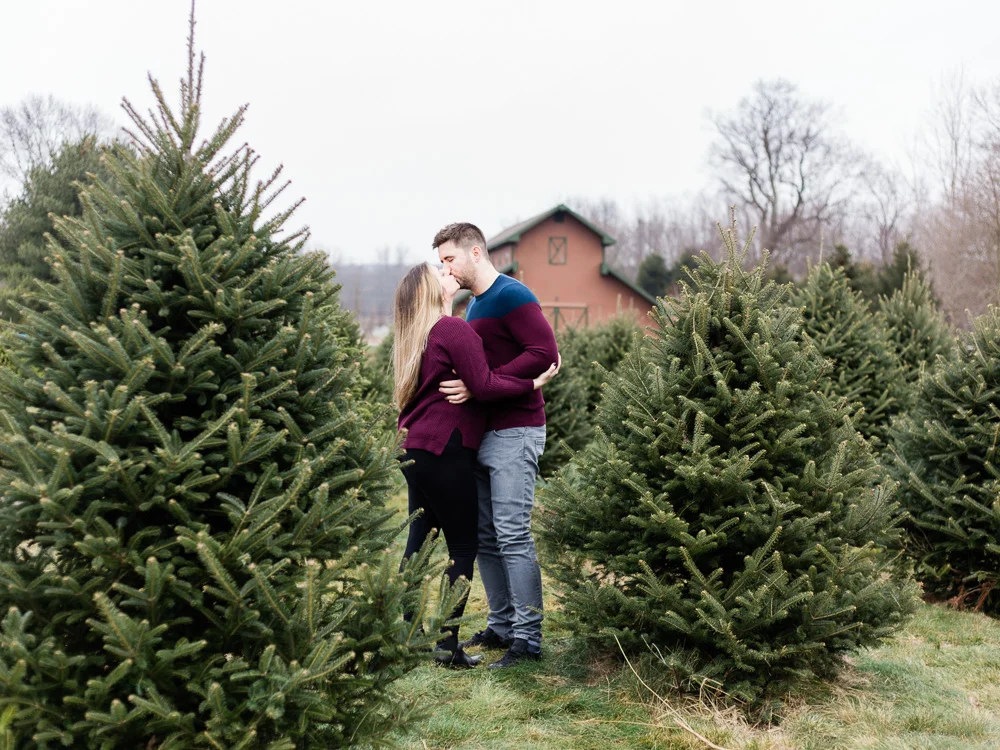 christmas-tree-farm-engagement-photos-matt-erickson-photography-33.jpg