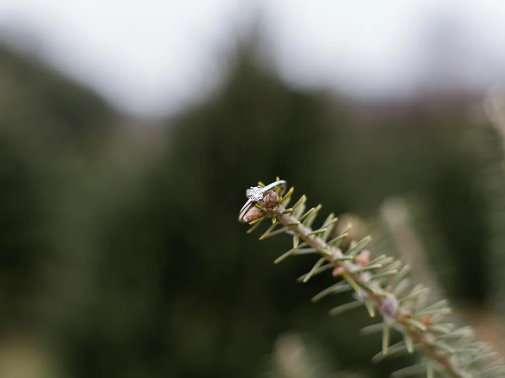 christmas-tree-farm-engagement-photos-matt-erickson-photography-37.jpg