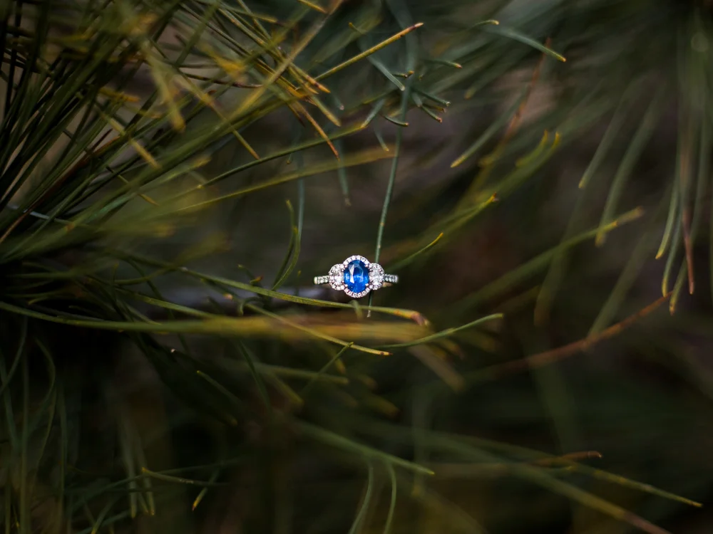 rocky-river-reservation-engagement-photos-29.jpg