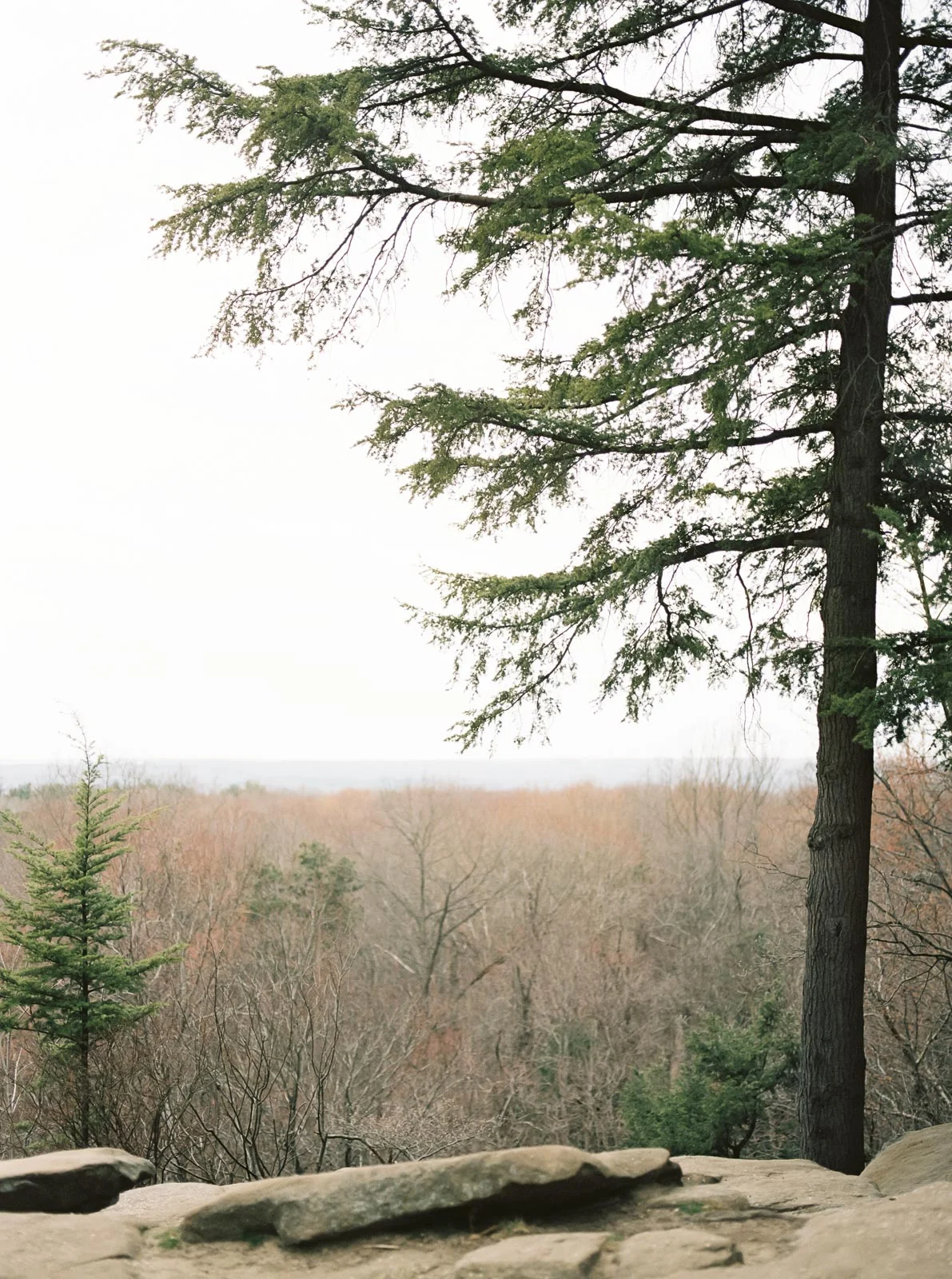 cuyahoga-valley-national-park-engagement-photos-35.jpg