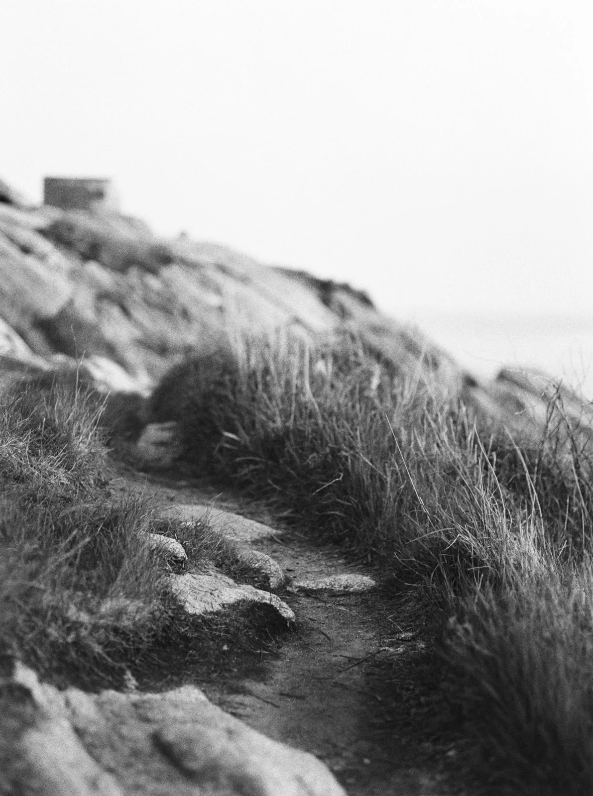 Eastern Point Lighthouse Destination Engagement Session-88.jpg