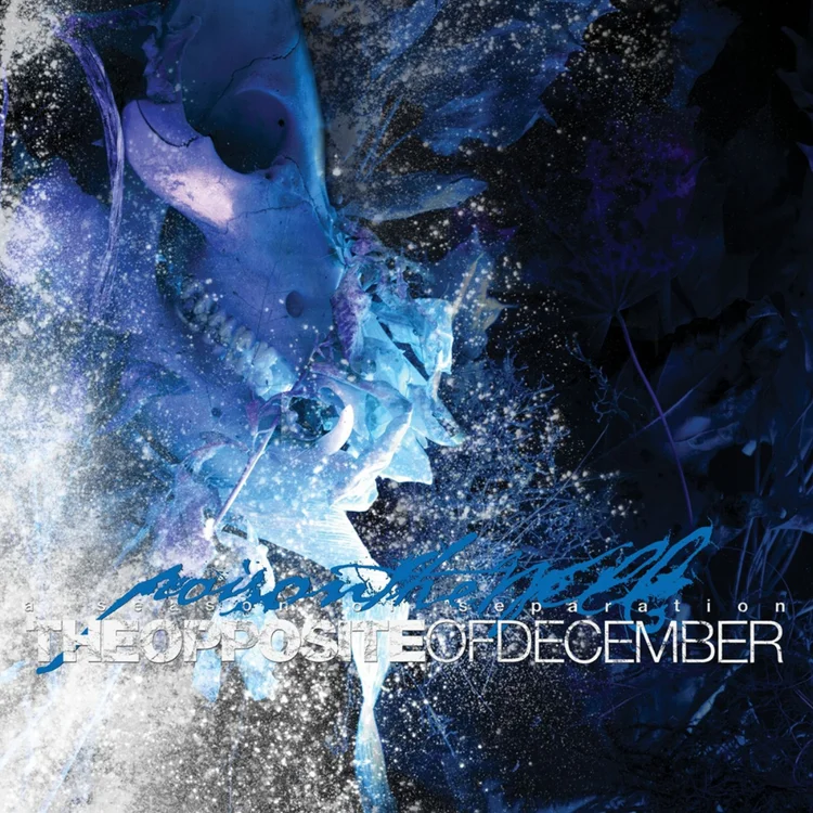 Poison The Well — The Opposite of December