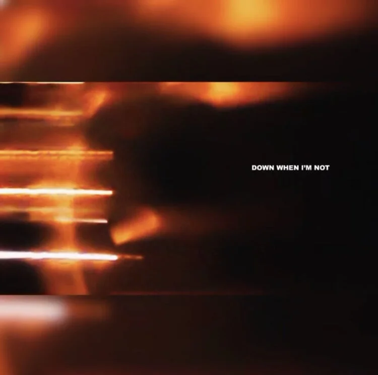 Greg Puciato — Down When I’m Not