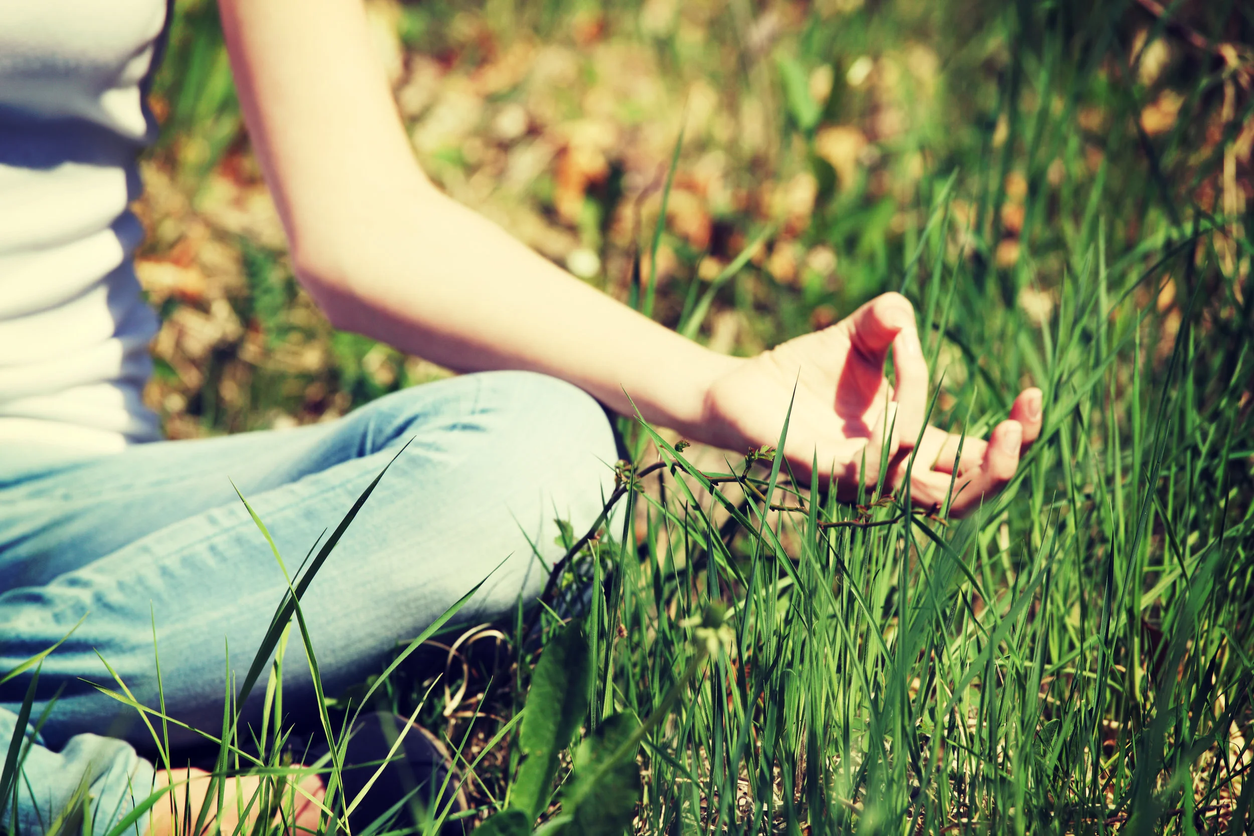 Is there any such thing as a Quiet Mind? 
