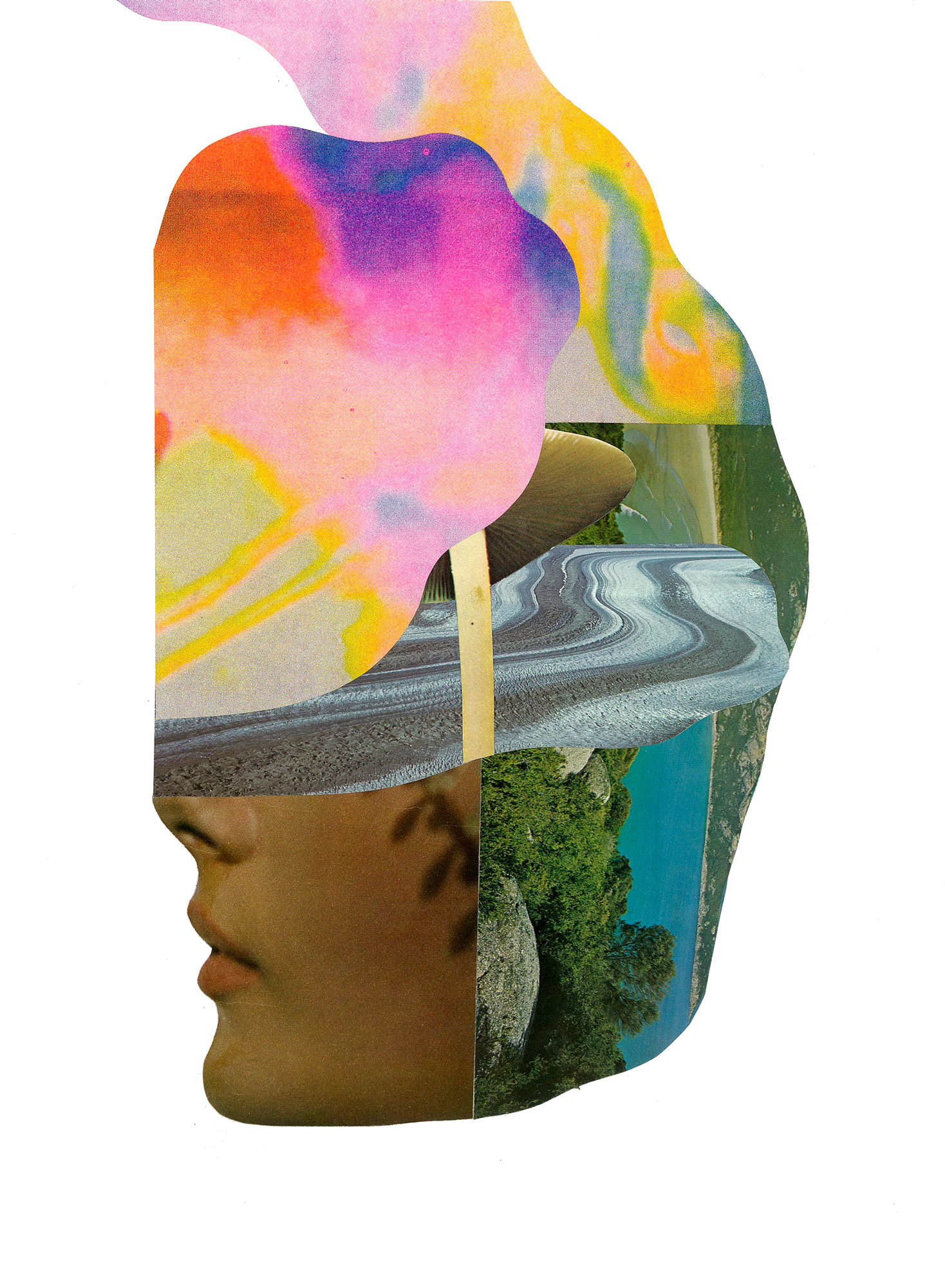 Image: © Chrissie Abbott