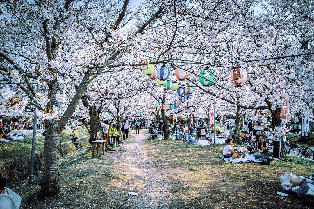 Osaka - courtesy & copyright © @kento.lab