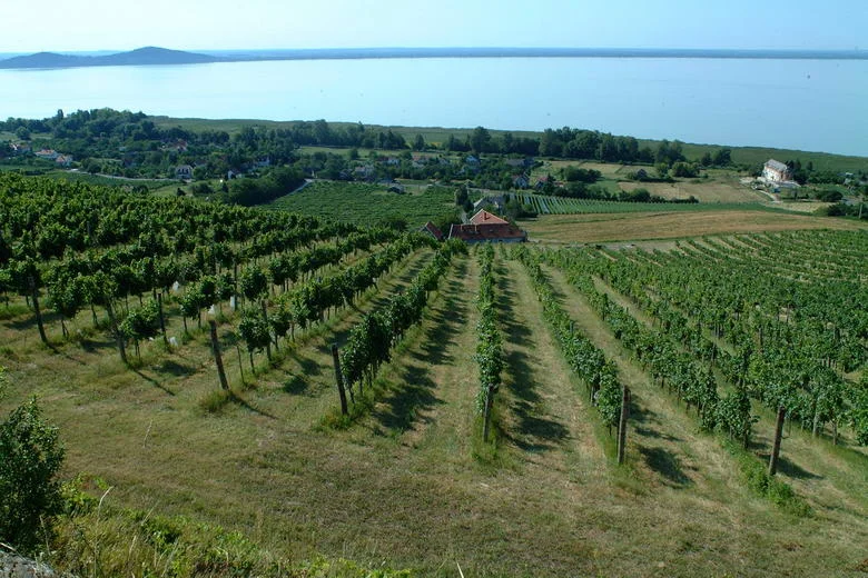 balaton_ (4)_resize.JPG