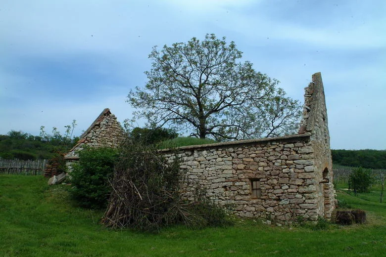 balatonszollos_003_resize.JPG
