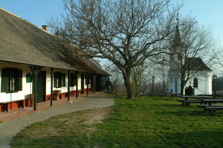 lelle_kishegy_0045_resize.JPG