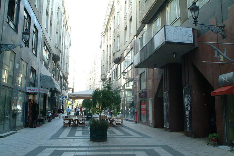 aranyjanos_kornyeke_0042_resize.JPG