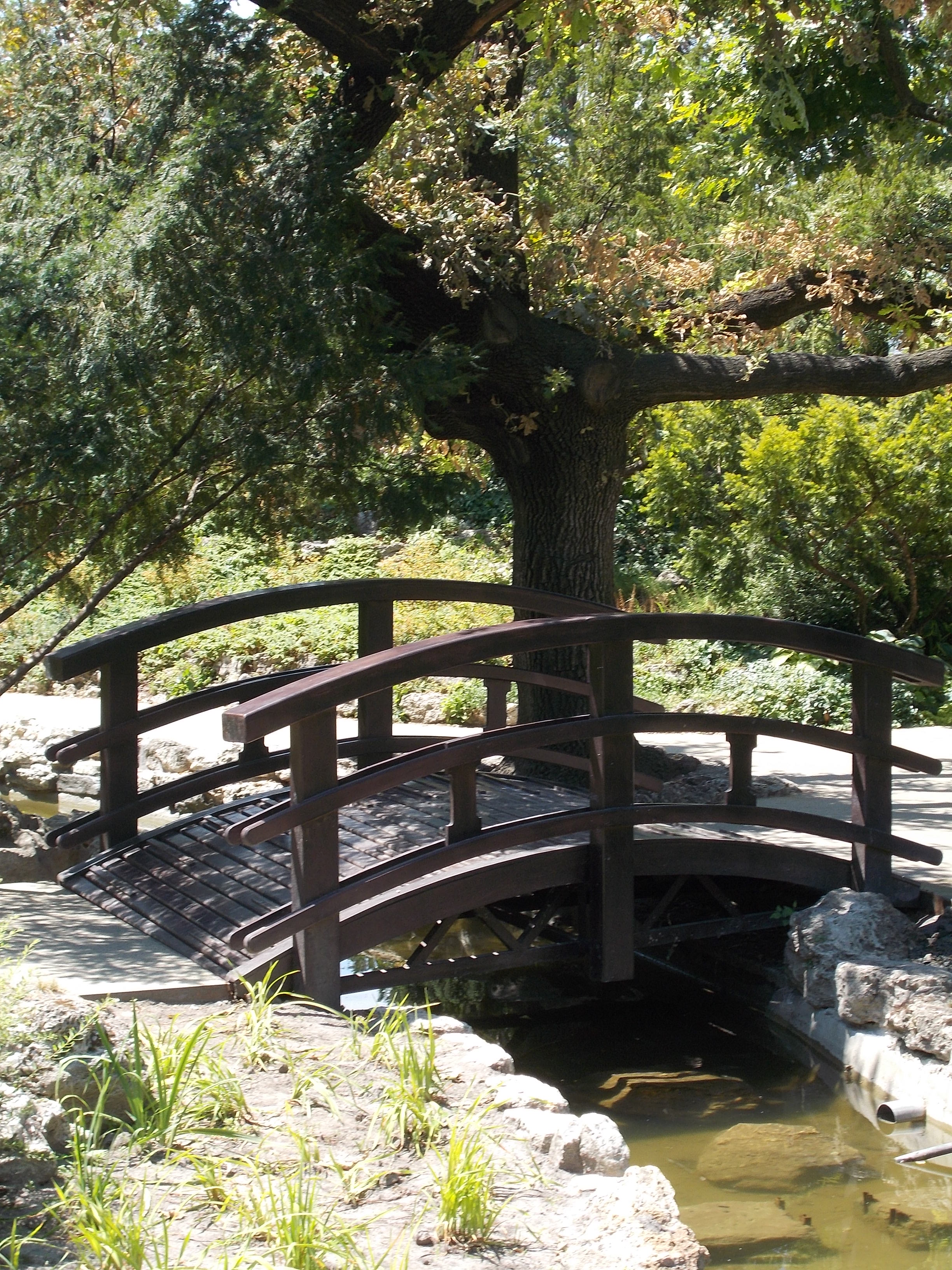 Japanese Garden on Margit Island via Wikipedia