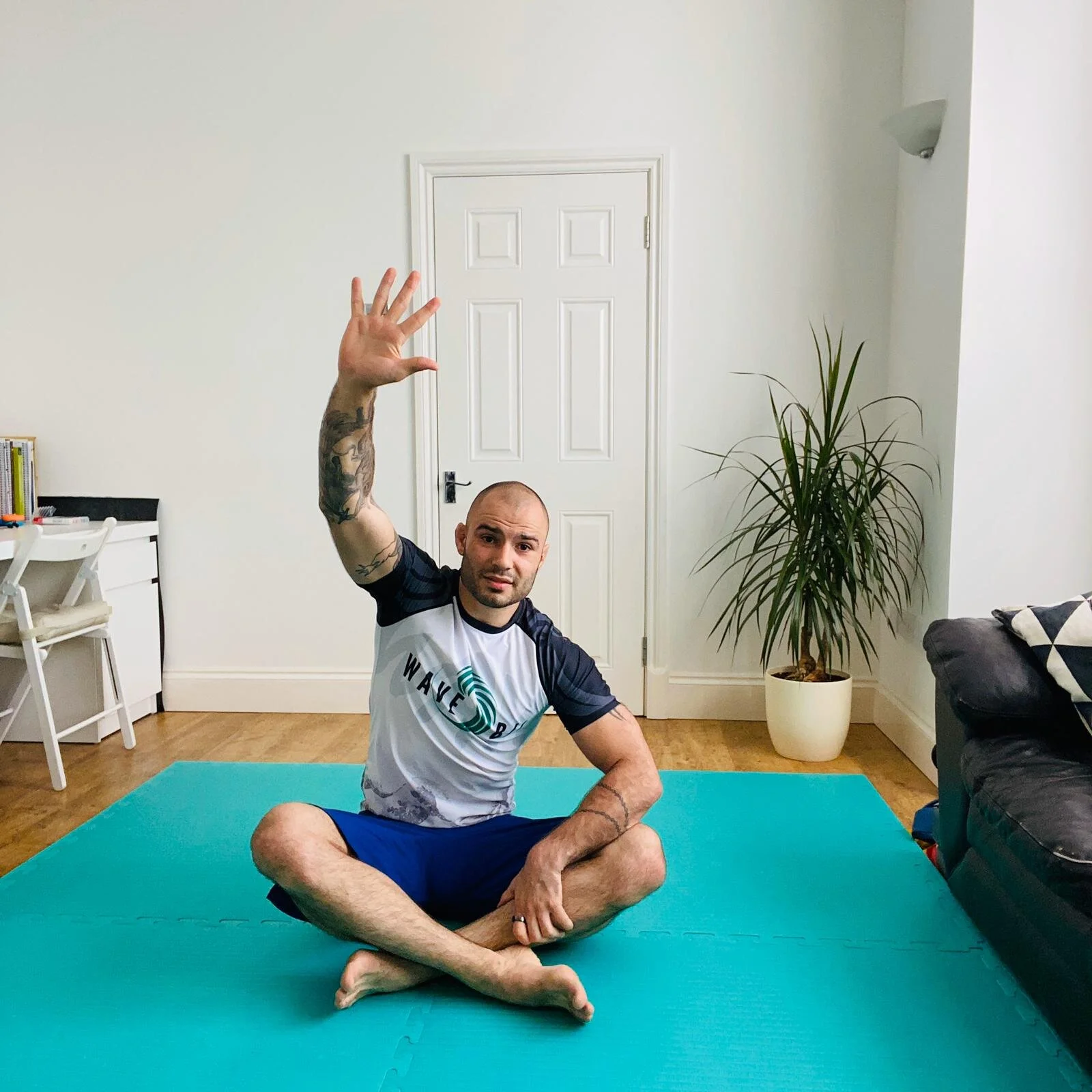 Free Wave Online BJJ Cardio class