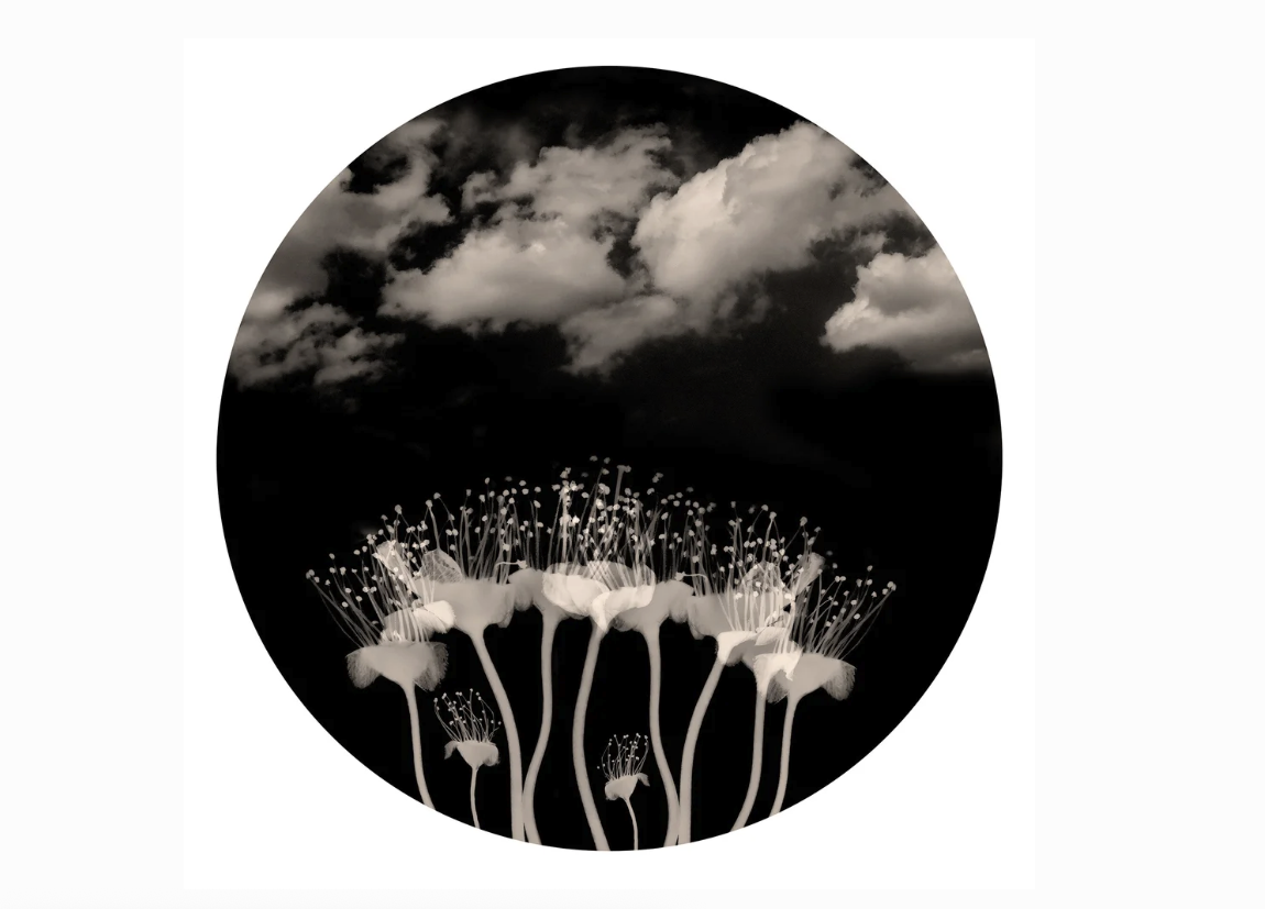 Screenshot 2026-03-18 at 16.46.05.png