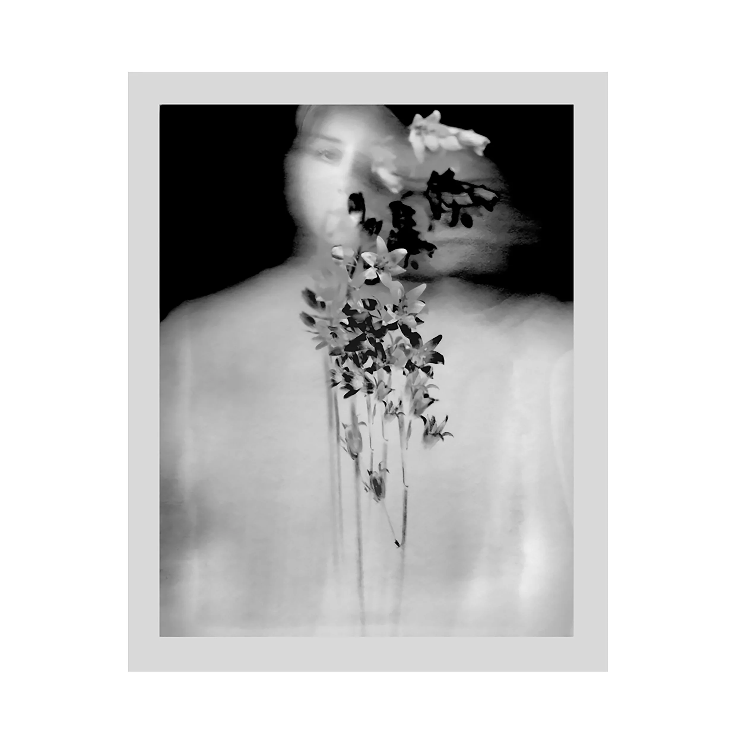 Bluebells Correction.jpg