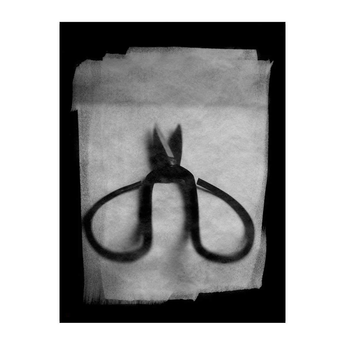 Scissors_sq.jpg