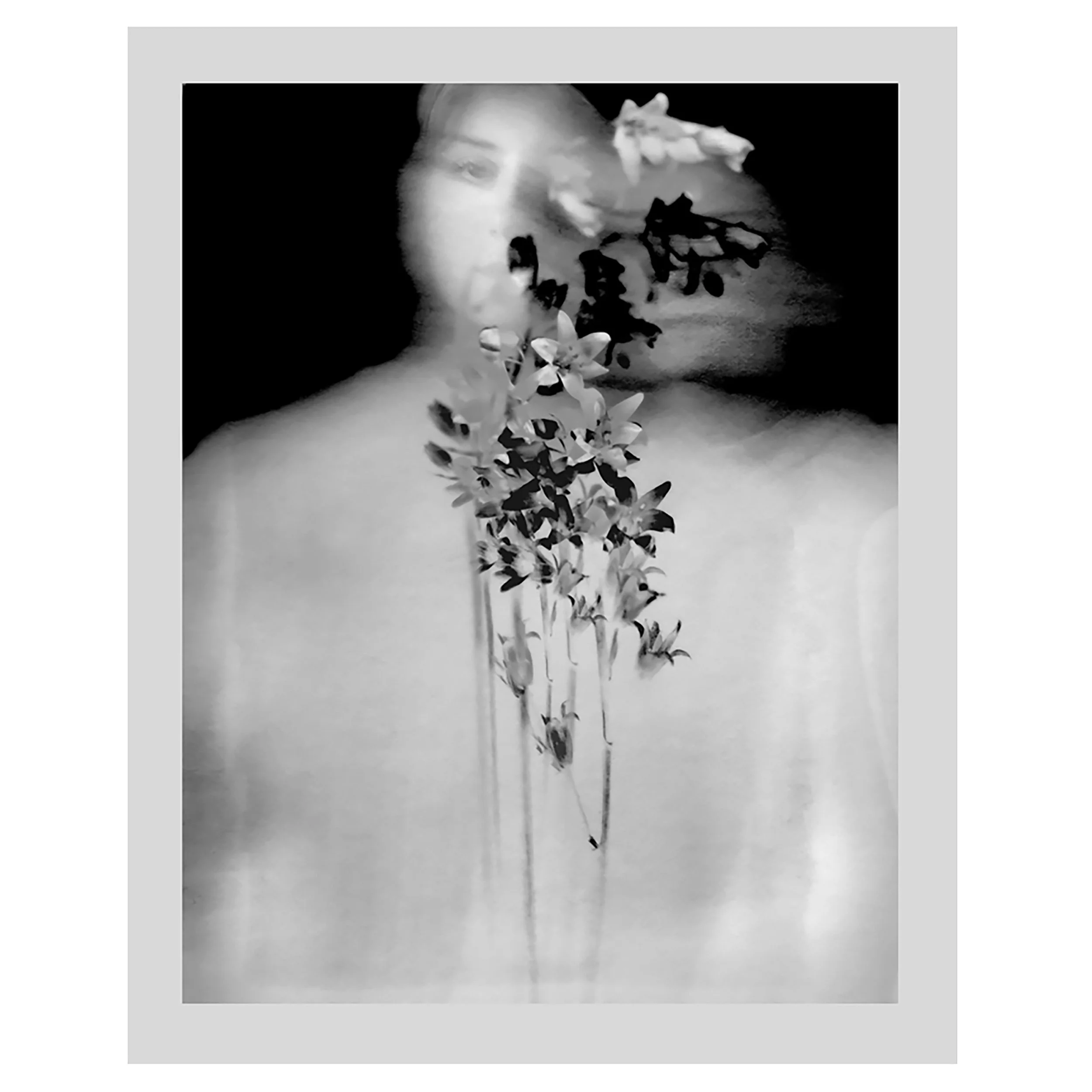 Bluebells Edit 22.jpg