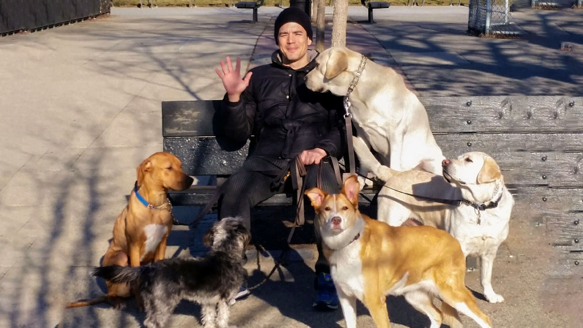 This guy makes six figures a year with his dog walking business (Copy) (Copy)