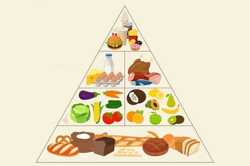 Food+Pyramid.jpg