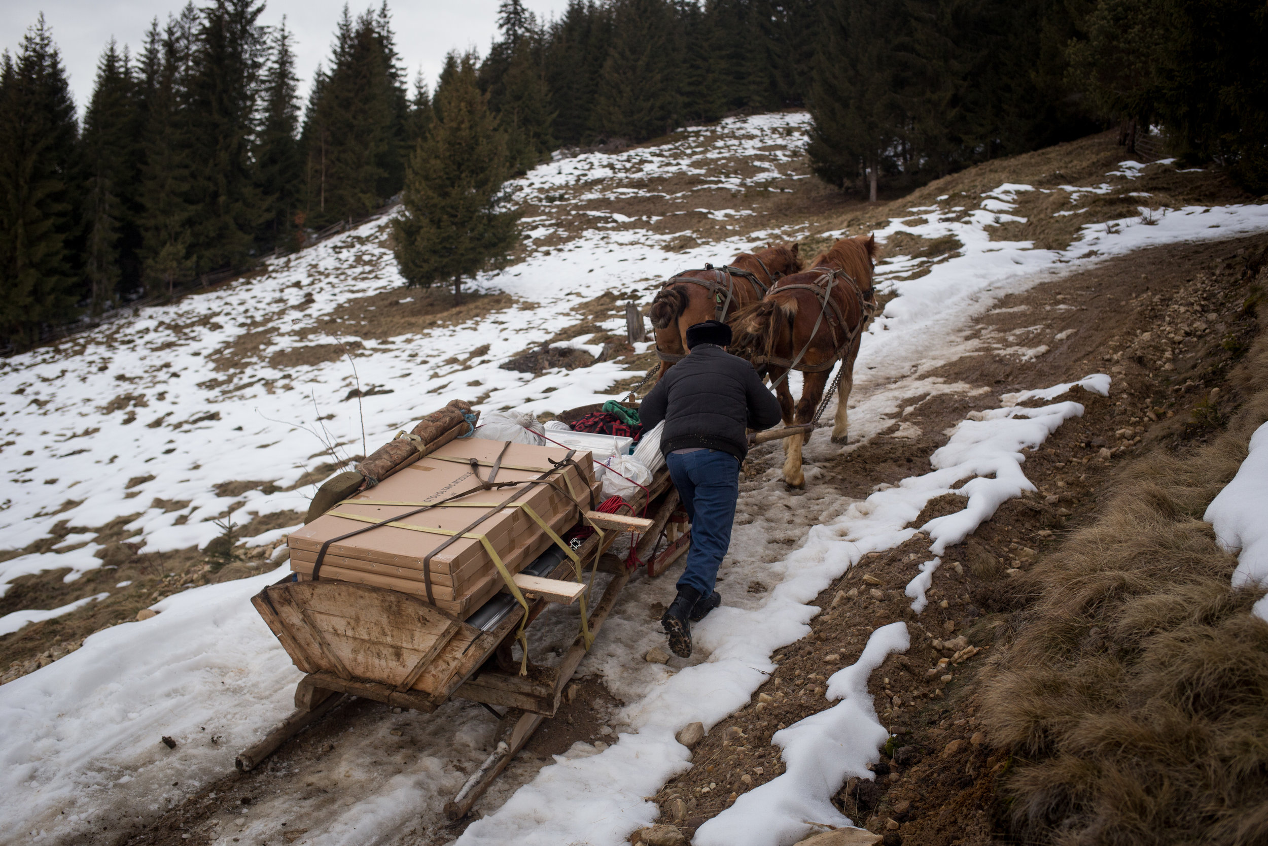 MOLDOVITA • With the help of locals and horsepower, Iulian and Traian from Free Miorita (an NGO) haul solar panels and equipment to install on houses not connected to the grid. 