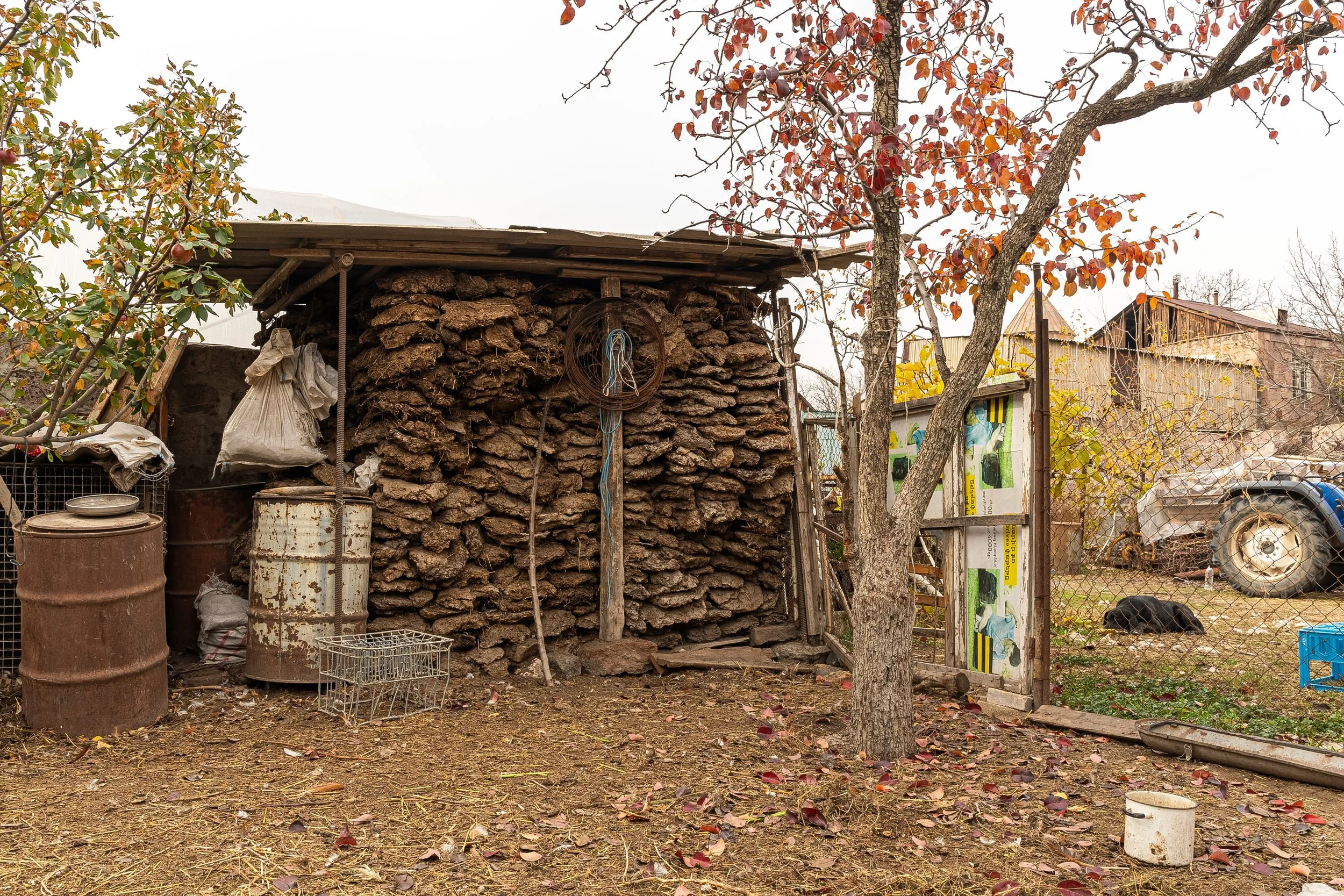 Energy transitions in rural Armenia