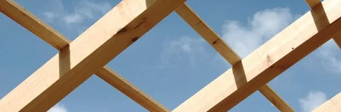BOIS DE STRUCTURE